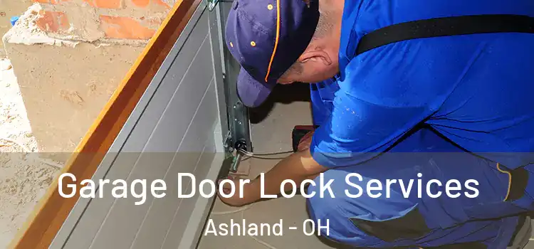 Garage Door Lock Services Ashland - OH