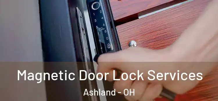 Magnetic Door Lock Services Ashland - OH