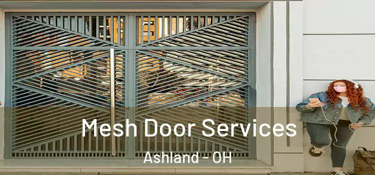 Mesh Door Services Ashland - OH